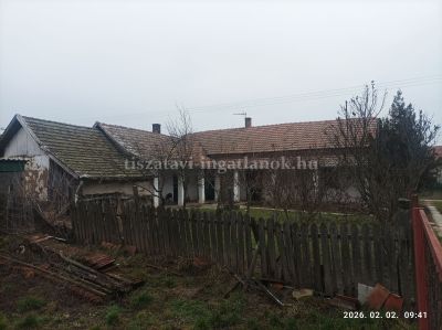 Gangos paraszth&aacute;z